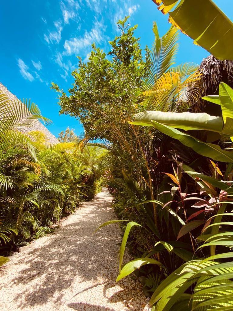 Villas Argan - Paradise Gateway Playa Santa Teresa  Exterior foto